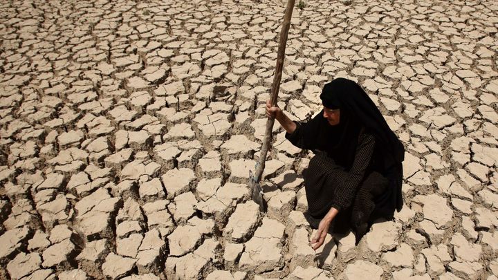 In 2016 the Middle East experienced the hottest temperatures ever recorded on earth.