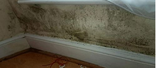 47% of students live in a house with damp 