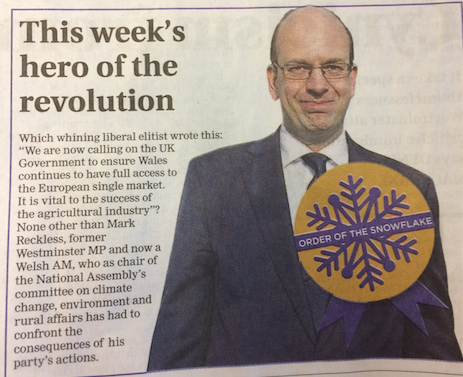 Mark Reckless as he appeared in The New European