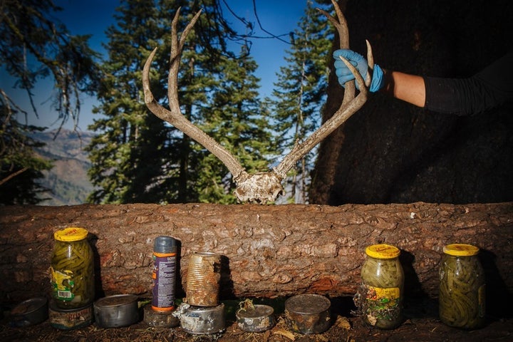 An assortment of food and medicines found at an encampment at a large grow in Plumas National Forest