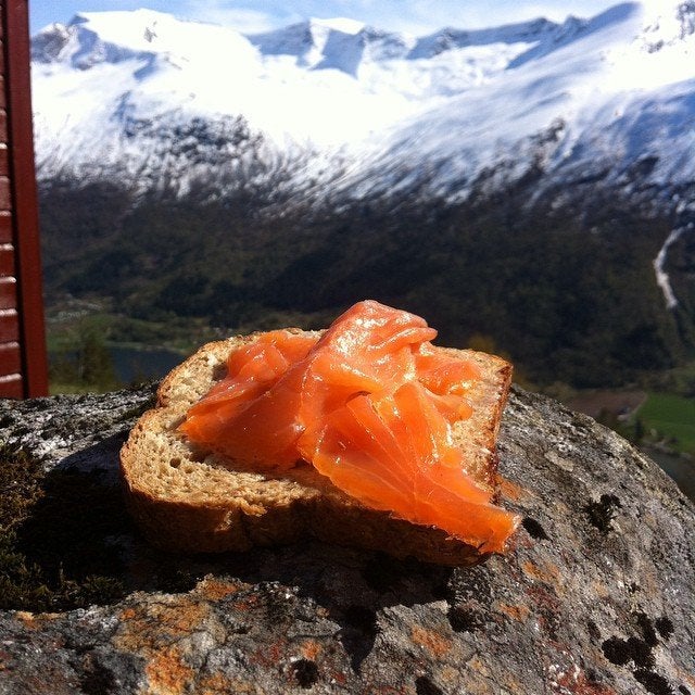 Norwegian salmon, on a piece of bread.