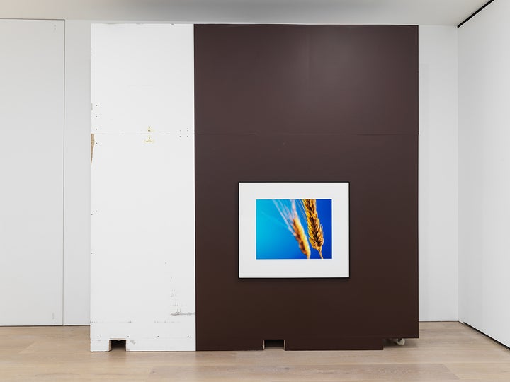 Installation view, Christopher Williams, Open Letter: The Family Drama Refunctioned? (From the Point of View of Production), at David Zwirner London, March 17 – May 20, 2017. Courtesy David Zwirner, New York/London.