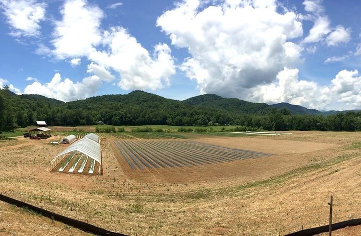 At Ten Mile Farm, just outside Asheville, North Carolina, Christina Carter raises a diverse mix of vegetables. She's one
