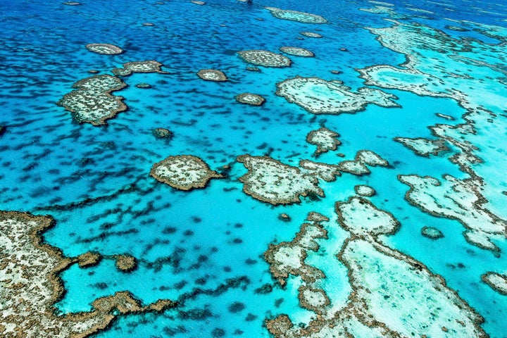 The Great Barrier Reef in north Queensland, Australia.