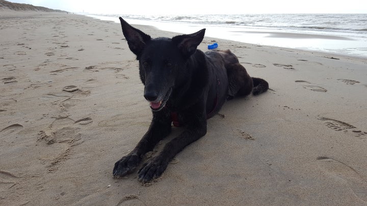 McKayla enjoying the beach in De Haan, Belgium