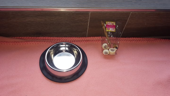 Blanket, dog bowl, and treats provided by B&B Villa Verde 