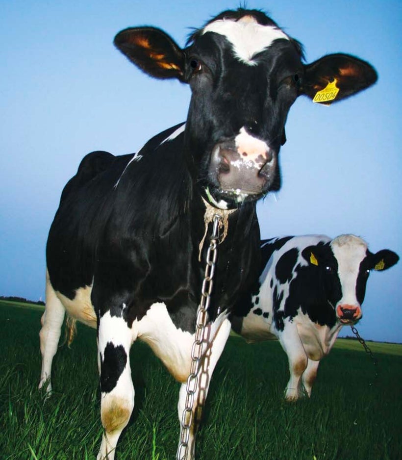 <a rel="nofollow" href="http://www.unep.fr/shared/publications/pdf/DTIx1262xPA-PriorityProductsAndMaterials_Report.pdf" targe