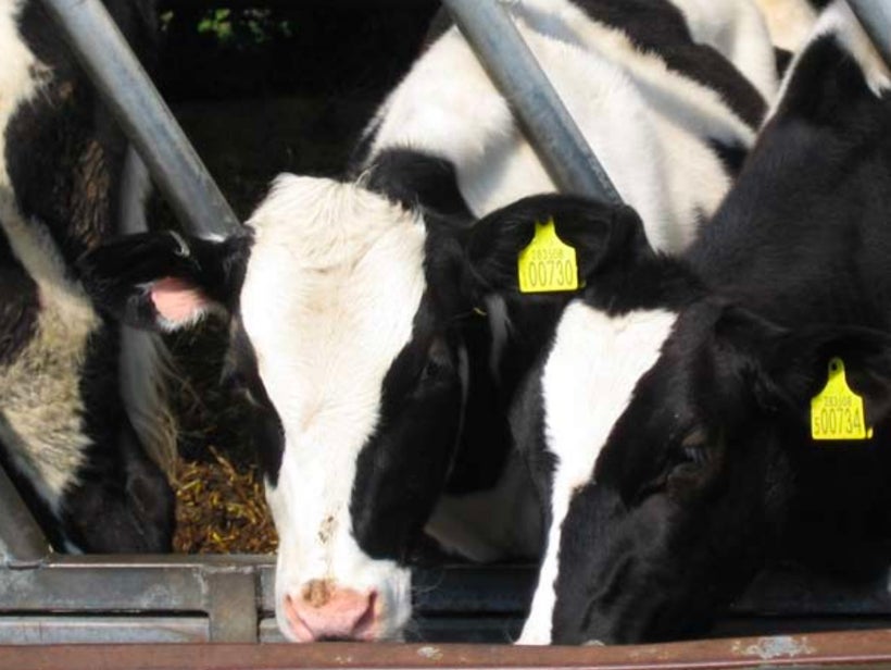 <a rel="nofollow" href="http://www.unep.fr/shared/publications/pdf/DTIx1262xPA-PriorityProductsAndMaterials_Report.pdf" targ