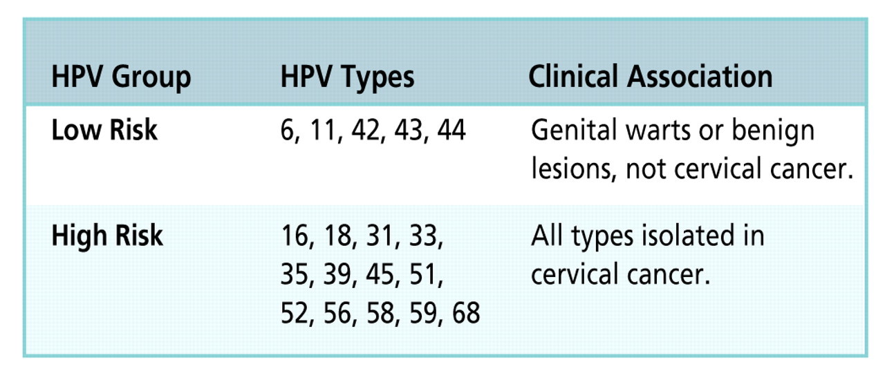 More Than Two In Five American Adults Carry HPV | HuffPost