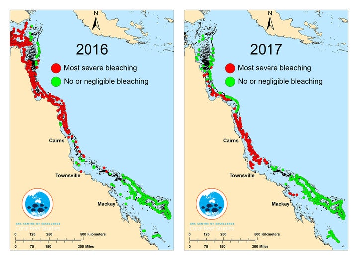 In 2016, the northern third of the Great Barrier Reef was hit with widespread bleaching. Scientists say this year the middle third is the hardest hit, leaving just a portion of the reef undamaged.