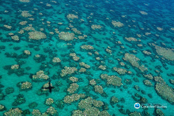 Aerial surveys revealed the middle third of the Great Barrier Reef is being hit by severe coral bleaching.