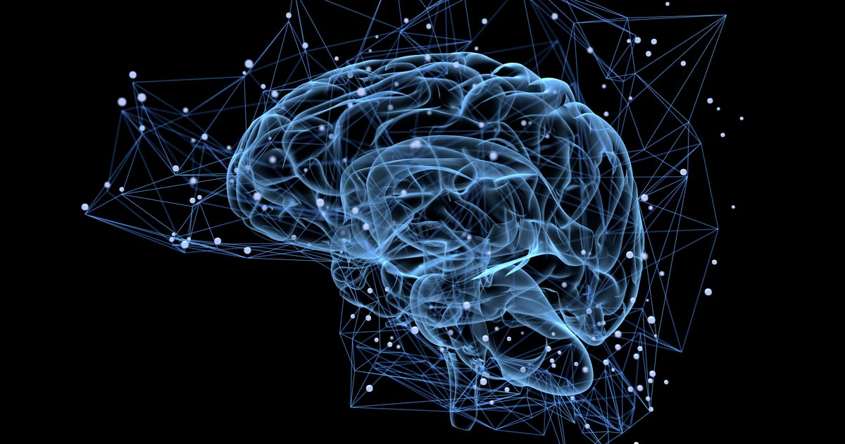 The Discovery Of 'Mini-Brains' Could Revolutionise Pain Treatment ...