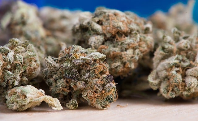 <a rel="nofollow" href="https://pixabay.com/en/cannabis-marijuana-weed-pot-hemp-2150543/" target="_blank">Pixabay</a>