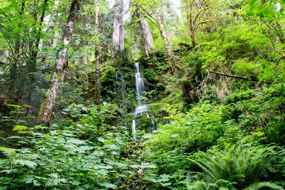 Olympic National Park, Washington