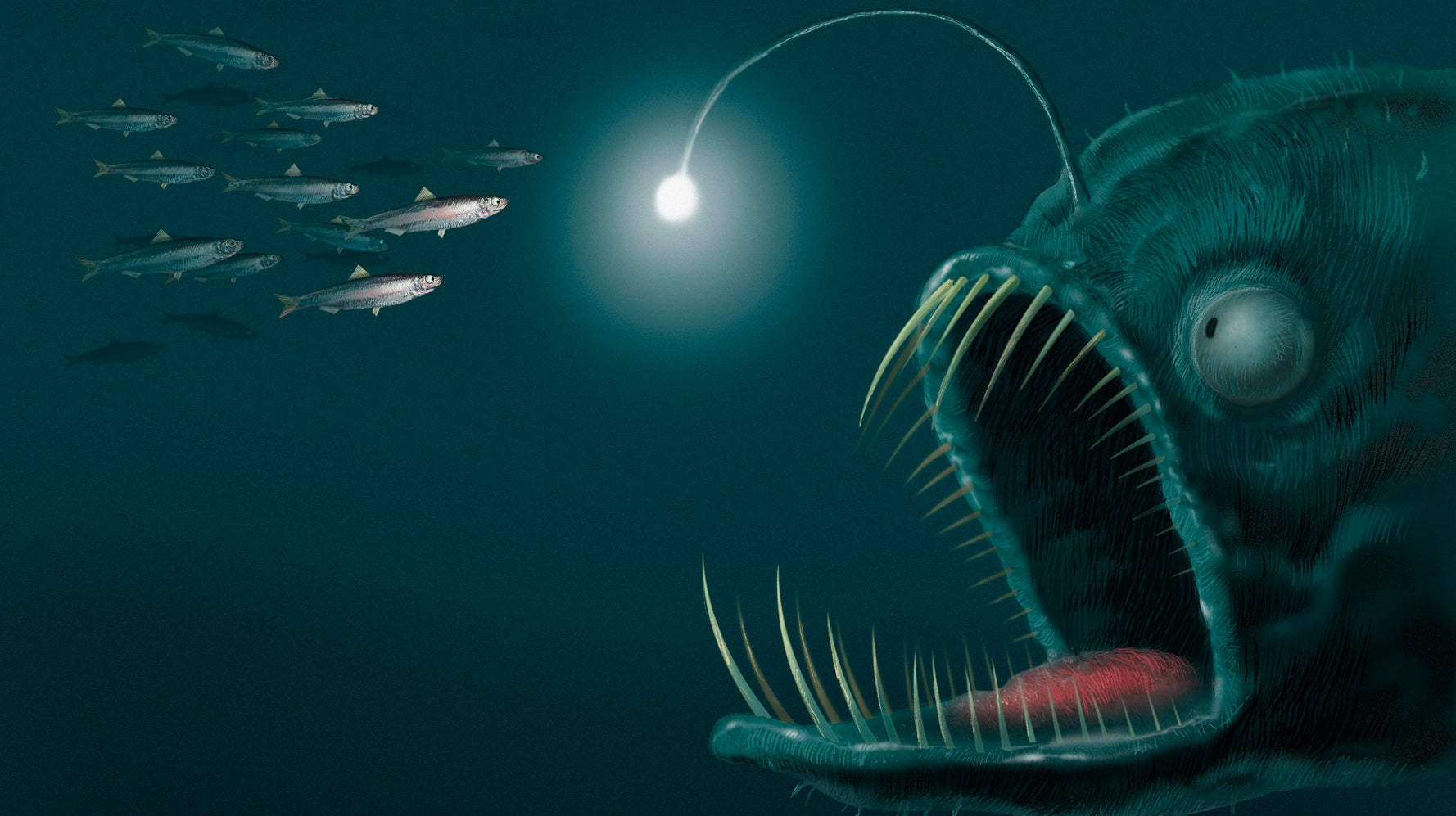 Eintritt analysieren Domain deep sea creatures with lights Kommentar