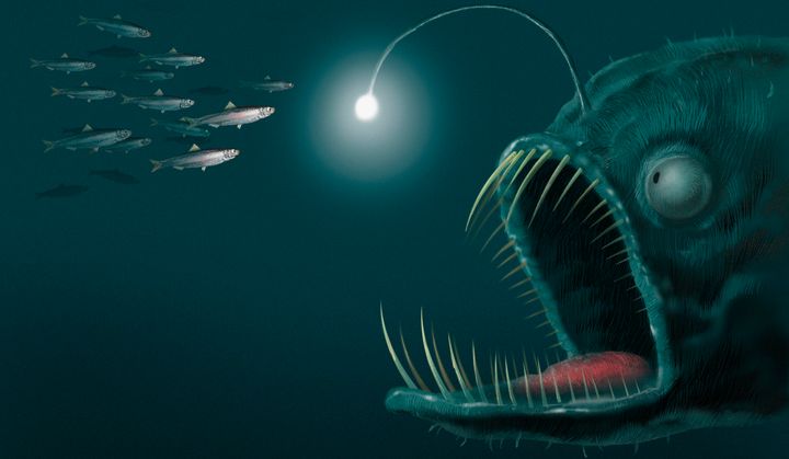 An computer generated illustration of an angler fish.