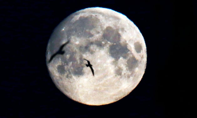 The moon at 99% seen from Northumberland on 10 April