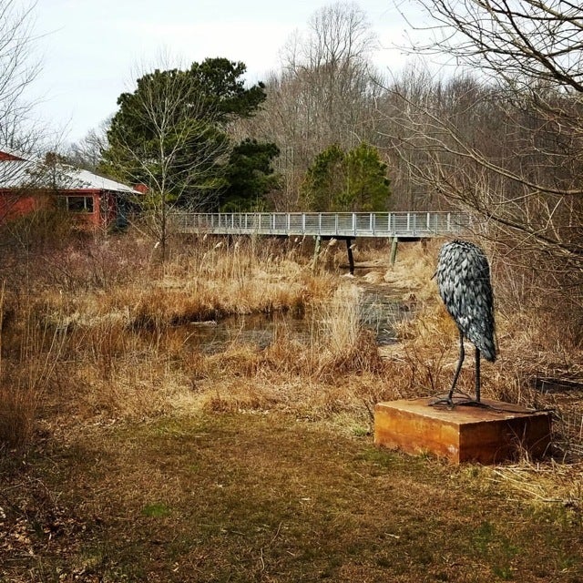 <p>Adkins Arboretum, Ridgely MD</p>