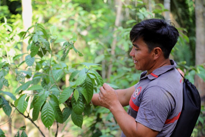 <p>Edilino, teenage botanist-in-training</p>