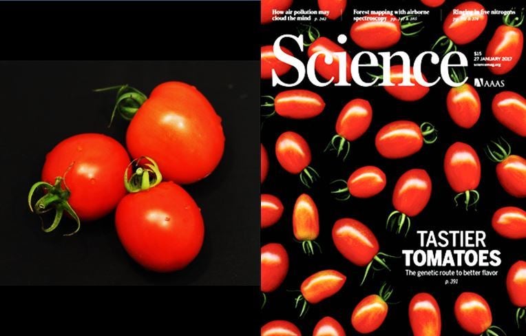 Breakthroughs in connecting genes to traits they control make better products for consumers, but also place a wealth of freel