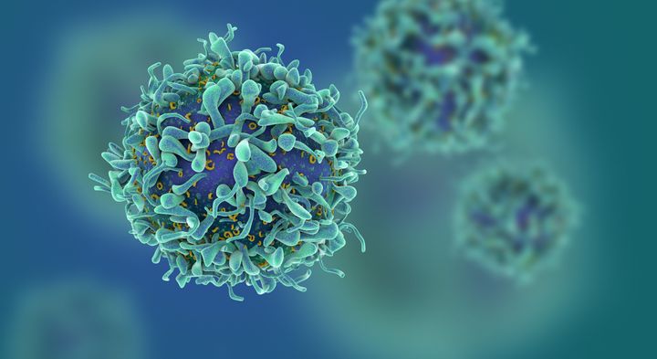 Thousands of teenage boys are at risk of developing HPV-related cancer, according to teachers 