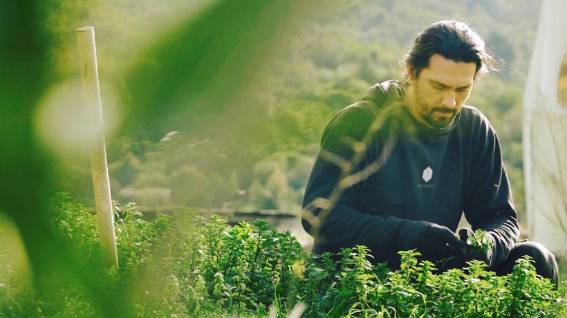 Apostolos Sianos in the upcoming feature-length documentary film, <strong><em>Freedom Besieged</em></strong>.