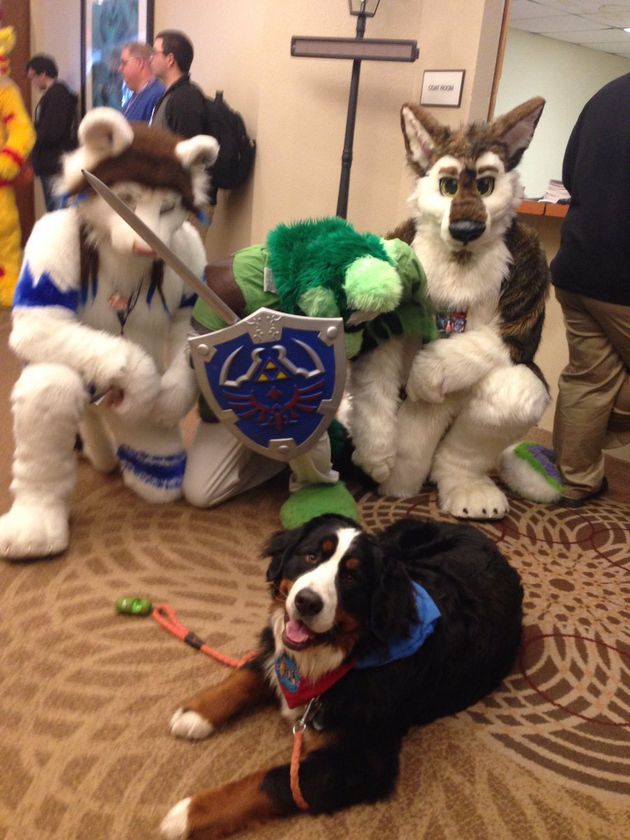 Woman Brings Dog To Furry Convention, Thinking It's A ...