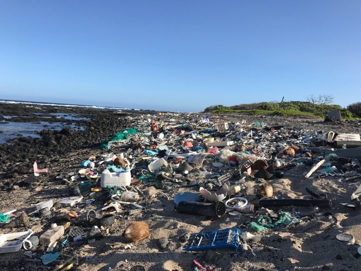 The Hawaii Wildlife Fund organizes regular cleanups at Kamilo Point on Hawaii's Big Island.