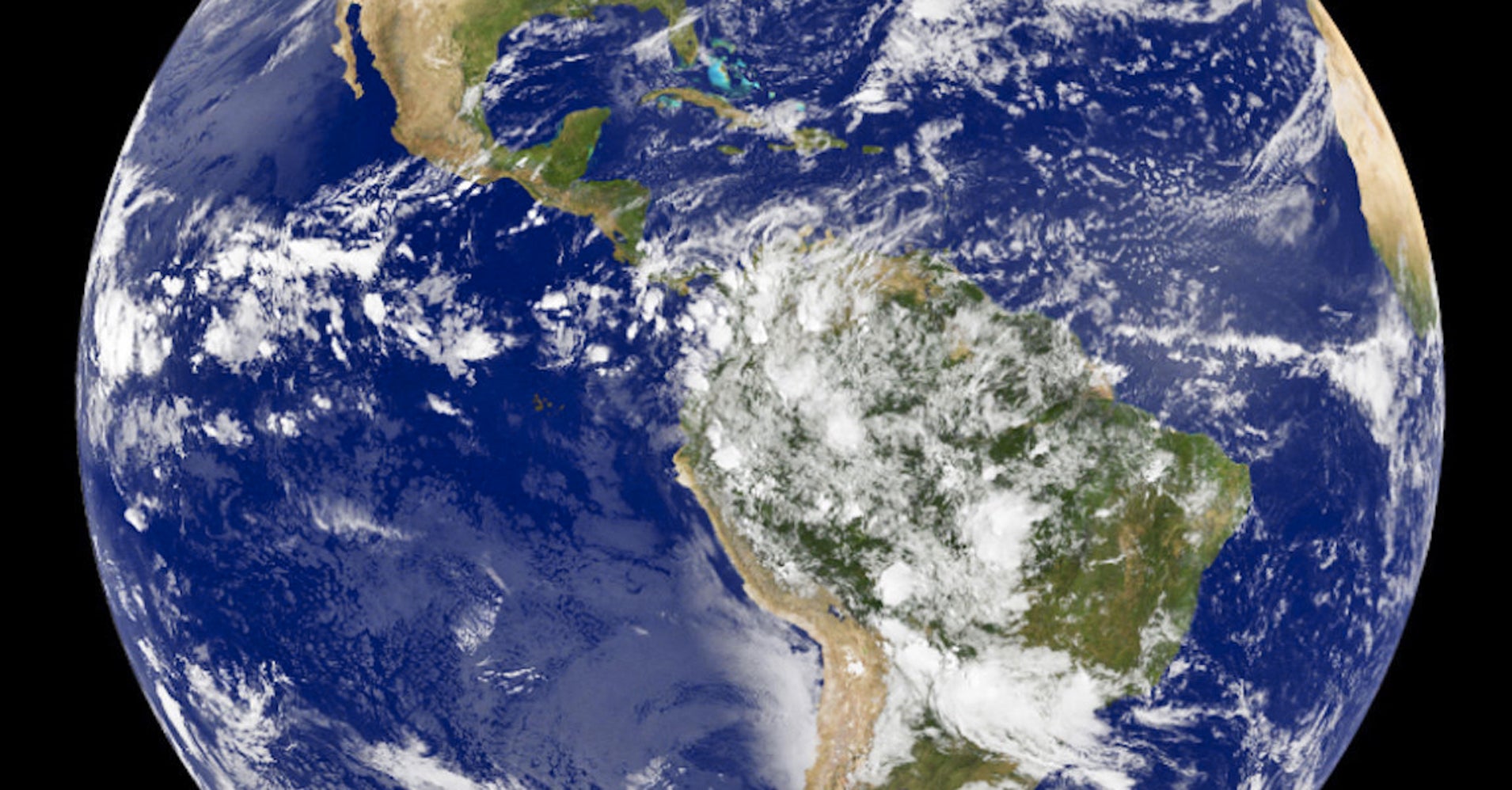 this earth day you can adopt a piece planet huffpost this earth day you can adopt a piece planet huffpost