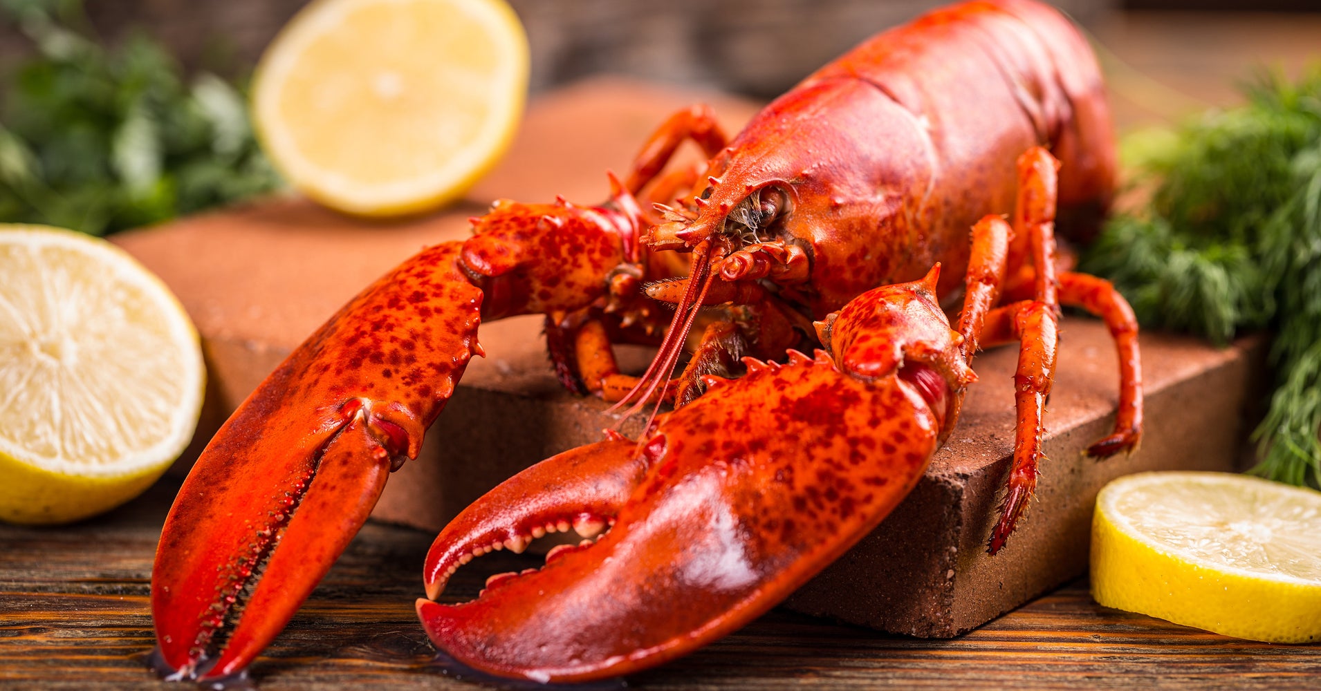 There's Something (Shell) Fishy About This Seafood-Inspired Beer