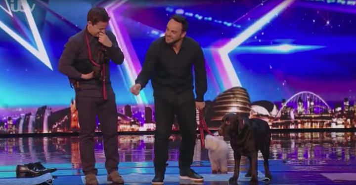 Ant's dog disgraced himself on stage