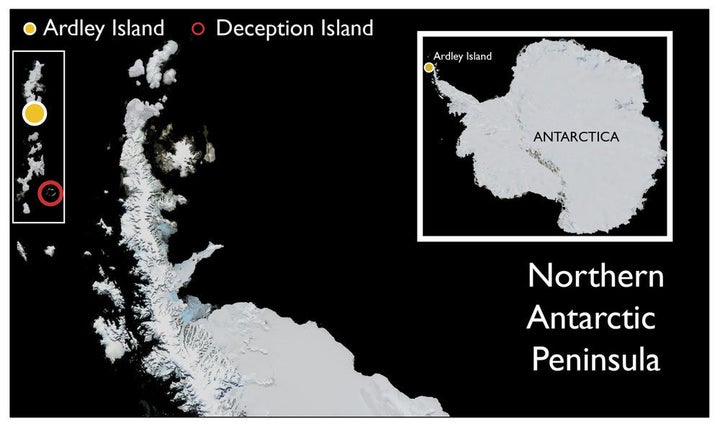 The location of Ardley Island and Deception Island in Antarctica.