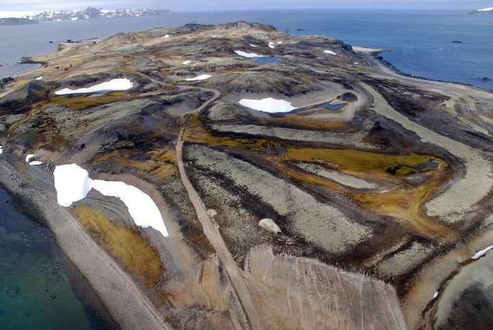 Oblique aerial view of Ardley Island taken during helicopter uplift from Fildes Peninsula. Raised beaches can be seen in the foreground, with Ardley Lake located in the top-centre of the photograph.