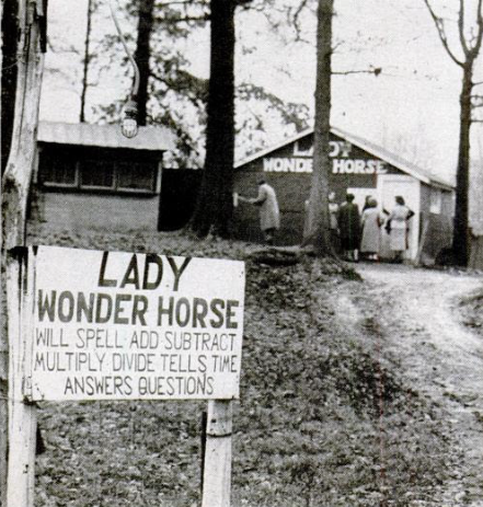 Sign welcoming visitors to see the psychic horse.