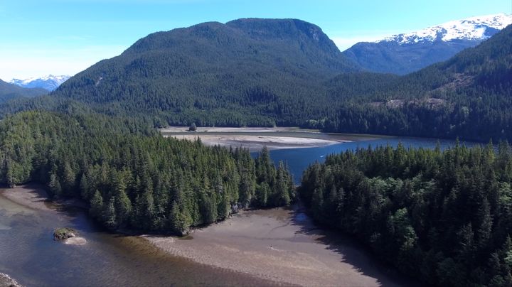 The Great Bear Rainforest. Scene from The Grizzly Truth Documentary.