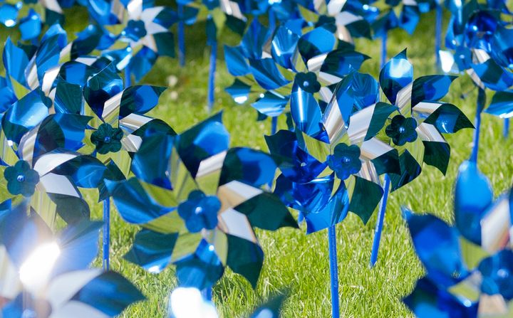<p>Blue Pinwheels are a symbol of hope used every April for Child Abuse Prevention Month </p>