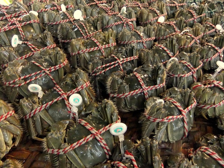 <p>Packed, labelled and ready to be sold for cooking.</p>