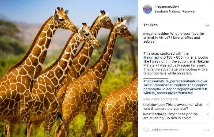 In Kenya’s Samburu region, Reticulated Giraffes photographed at 600mm.