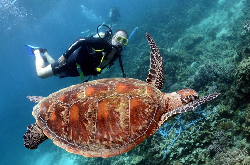Great Barrier Reef, Australia