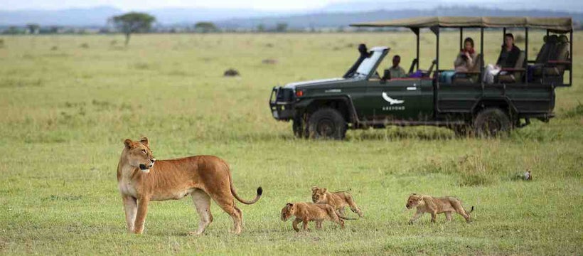 Serengeti National Park, Tanzania