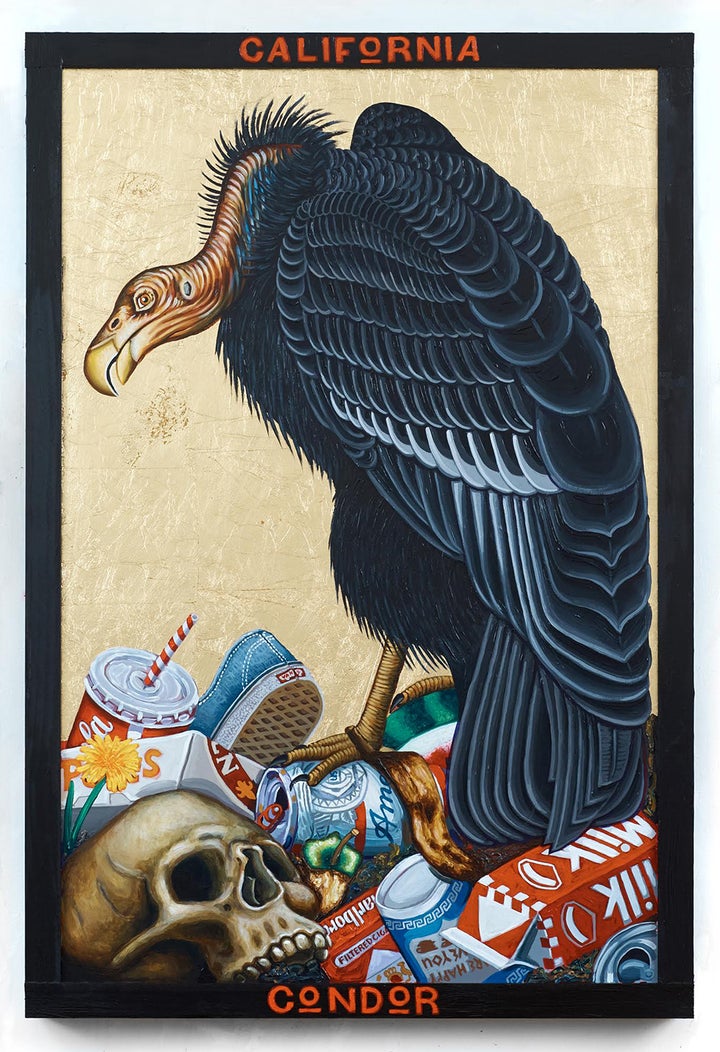<p>Tom Sanford - <em>California Condor</em></p>