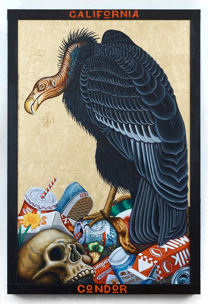 Tom Sanford - California Condor