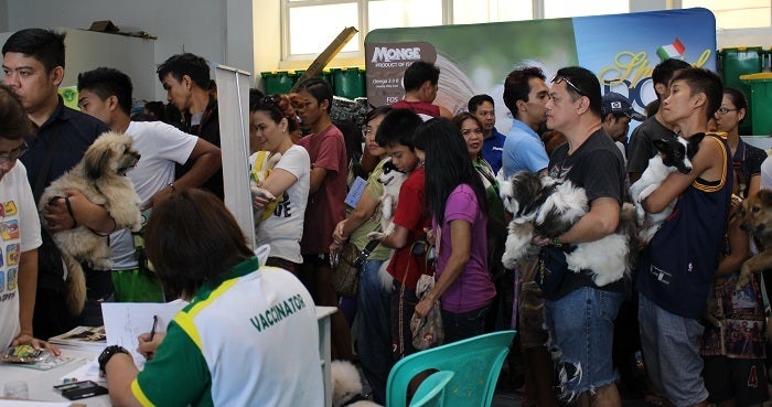 At the launch event pet owners line up to have their dogs vaccinated against rabies