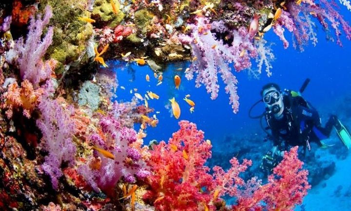 The Tubbataha Reef, one of the highlights of Philippine marine biodiversity, is in danger of being extinguished by a warmer and more acidic ocean. 