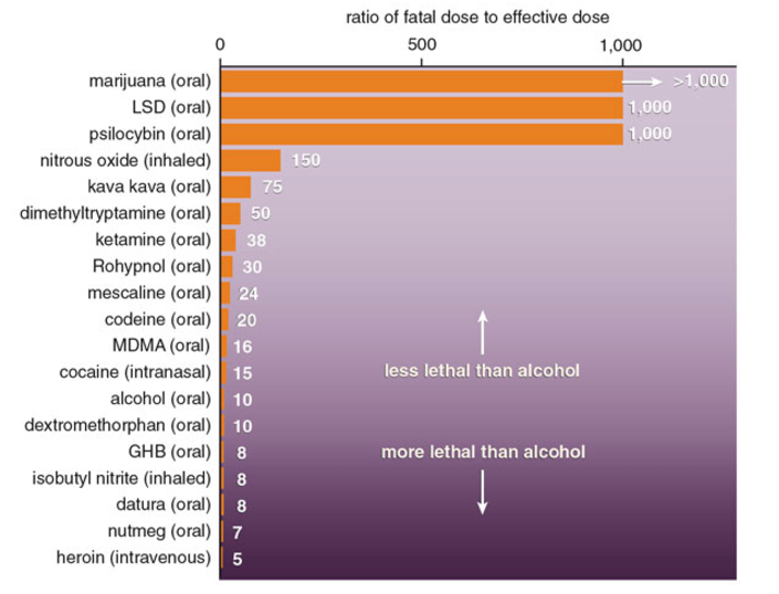 Alcohol is far more toxic than several popular illicit drugs.