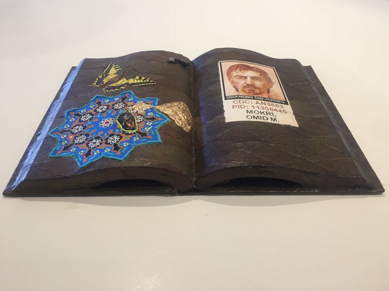 Omid Mokri, "Handmade book," 2017, acrylic, beets, paper, leaves, found specimen.
