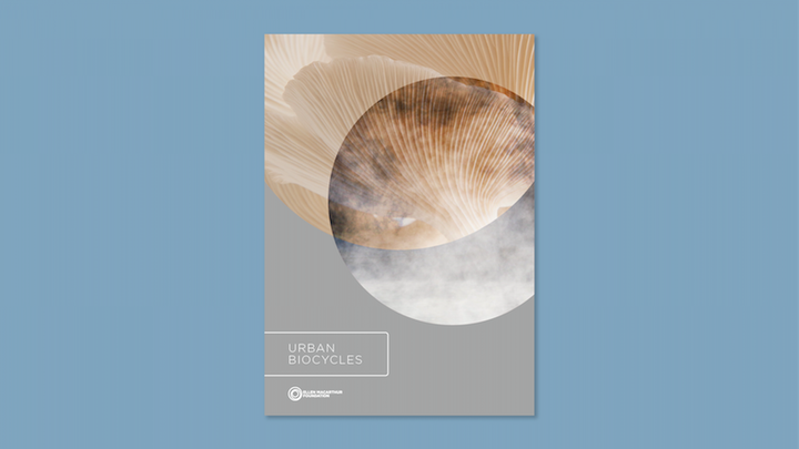 <p><em>Click to read the Ellen MacArthur Foundation’s new scoping paper on</em> <a href="http://circulatenews.org/2017/03/new-scoping-paper-released-on-urban-biocycles/" target="_blank" role="link" rel="nofollow" class=" js-entry-link cet-external-link" data-vars-item-name="Urban Biocycles" data-vars-item-type="text" data-vars-unit-name="58f885d2e4b081380af51905" data-vars-unit-type="buzz_body" data-vars-target-content-id="http://circulatenews.org/2017/03/new-scoping-paper-released-on-urban-biocycles/" data-vars-target-content-type="url" data-vars-type="web_external_link" data-vars-subunit-name="article_body" data-vars-subunit-type="component" data-vars-position-in-subunit="2">Urban Biocycles</a>.</p>