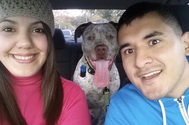 Rebecca and Juan “Frankie” Hernandez with their dog, Apollo.