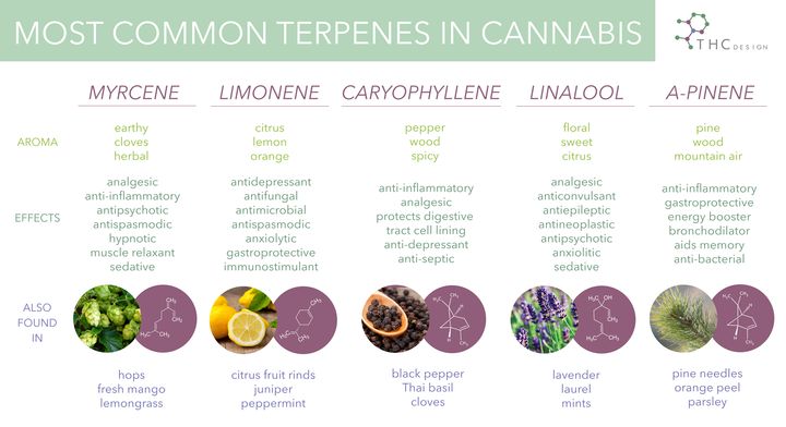 The efficacy of each of these terpenes in terms of transdermal delivery enhancement is measured by the concentrations of drug that are able to permeate the skin layer as well as the amount of time before peak levels are 