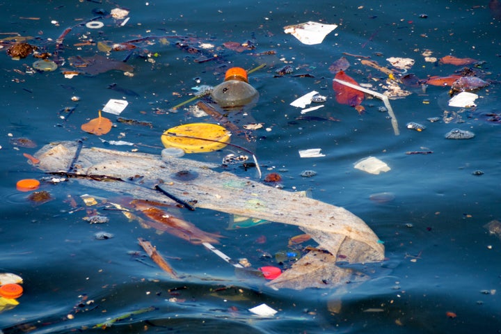 The Arctic Ocean is accumulating a high concentration of plastic, broken down over time into smaller bits called microplastics -- such as those pictured here.